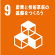 SDGs9